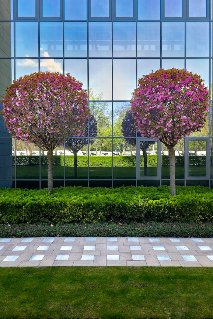Colorful flowering trees reflected on glass facade with lush greenery below.